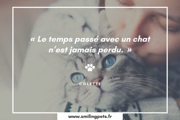 Les 70 Plus Belles Citations Sur Les Chats Equirelation