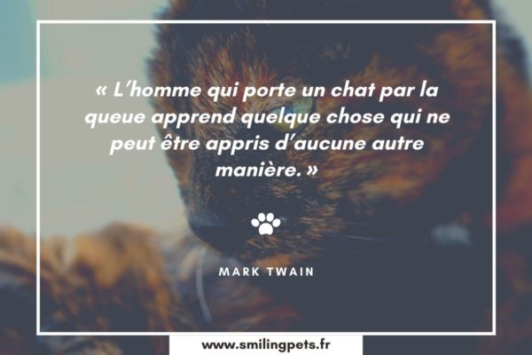 L Homme Qui Porte Un Chat Par La Queue Equirelation